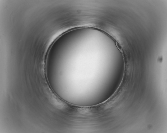 X0000091301332200708172201