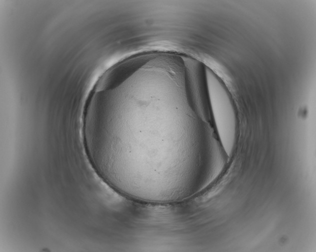 X0000091301334200708172201