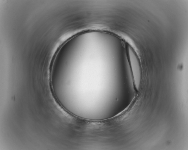 X0000091301335200708172201