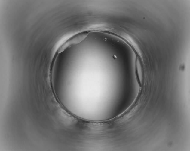 X0000091301336200708172201