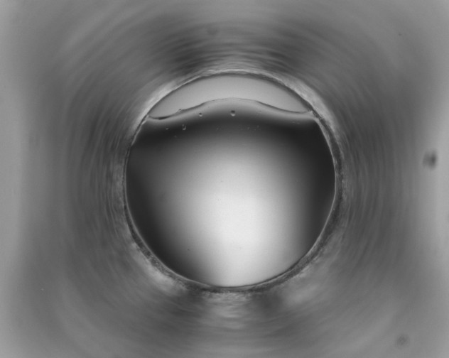 X0000091301337200708172201