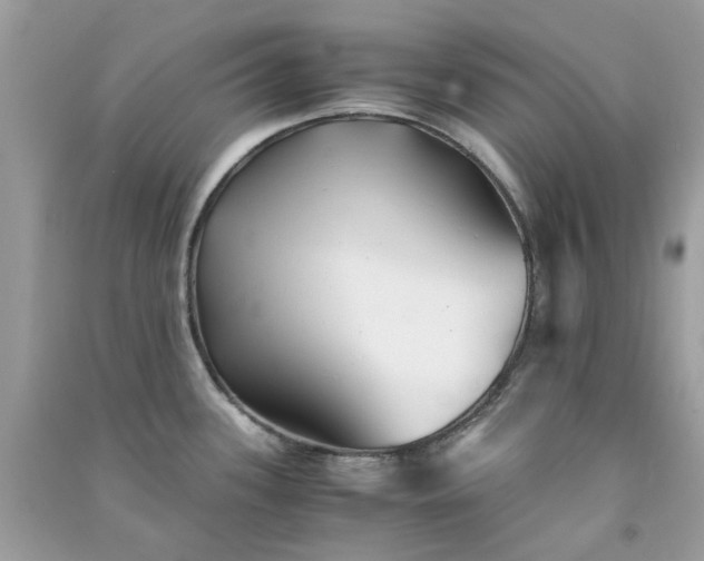 X0000091301339200708172201