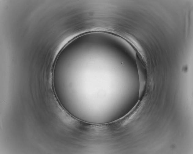 X0000091301340200708172201