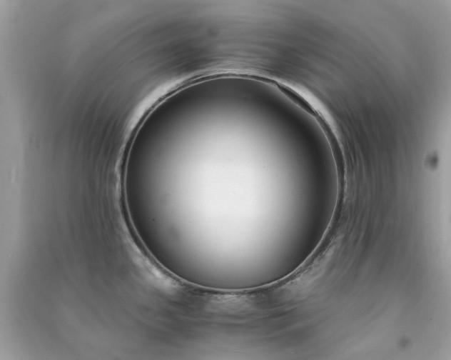 X0000091301341200708172201