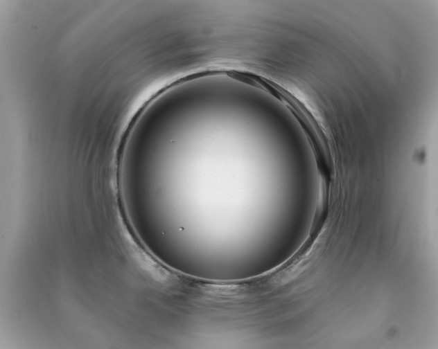 X0000091301342200708172201