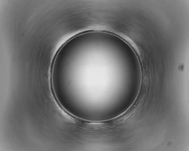 X0000091301343200708172201