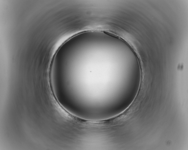 X0000091301344200708172201