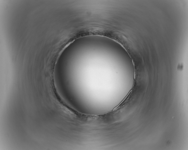 X0000091301345200708172200