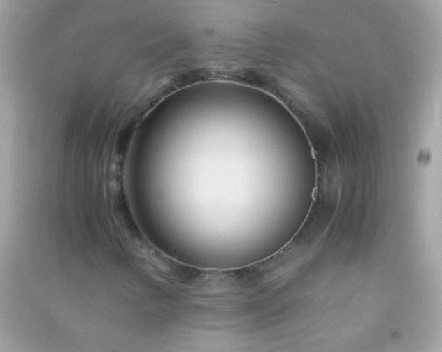 X0000091301346200708172200