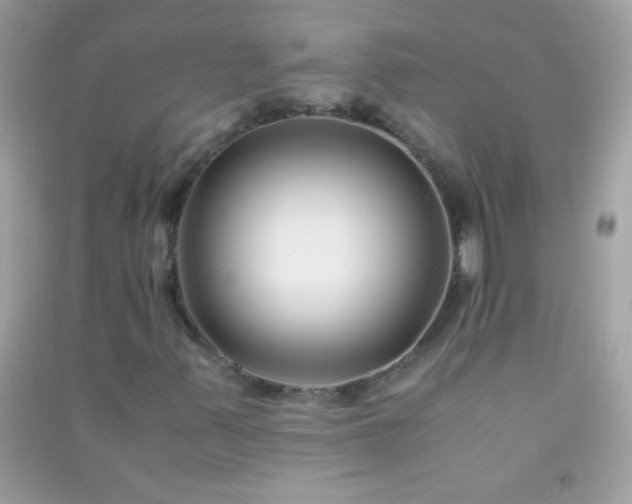 X0000091301347200708172200