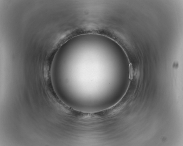 X0000091301348200708172200