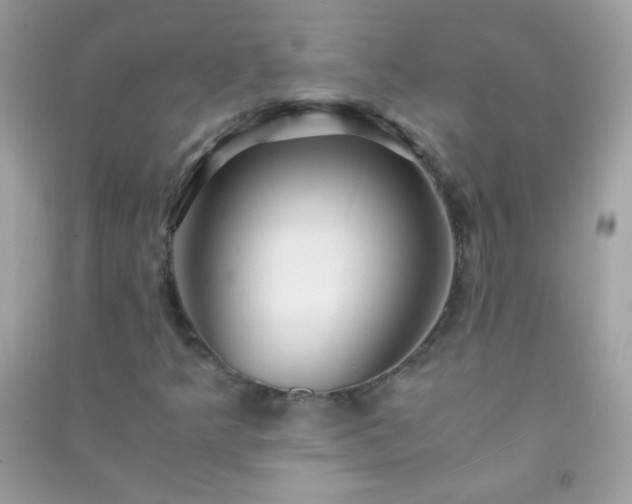 X0000091301349200708172200