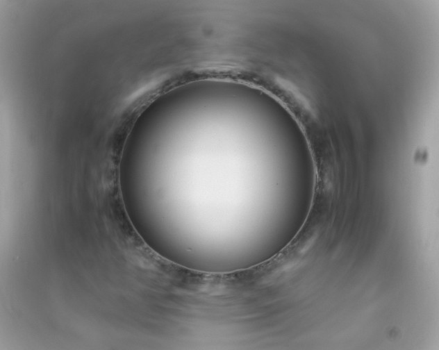 X0000091301350200708172200