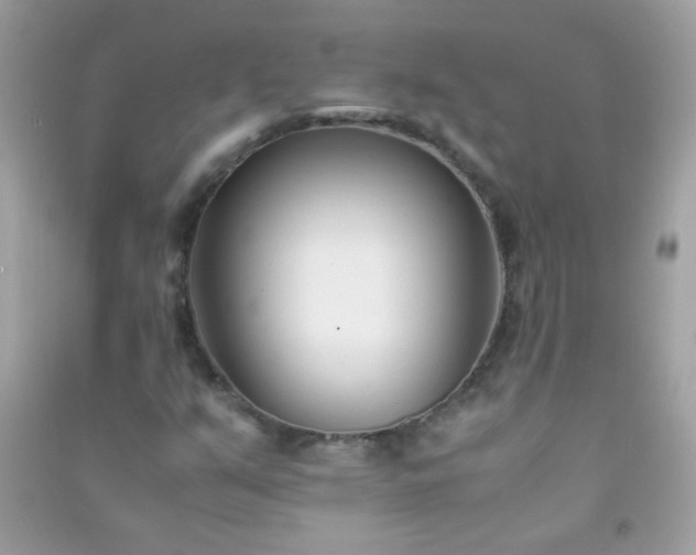 X0000091301351200708172200