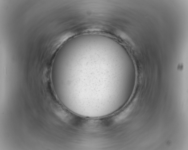 X0000091301353200708172200