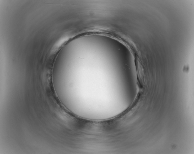 X0000091301355200708172200