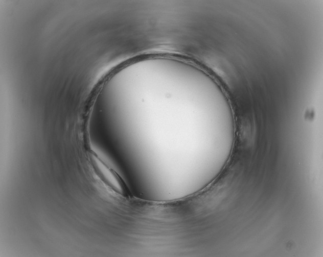 X0000091301356200708172200