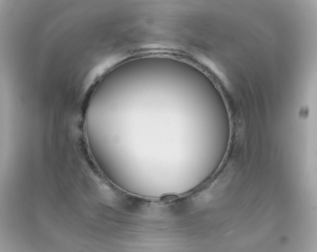 X0000091301357200708172200