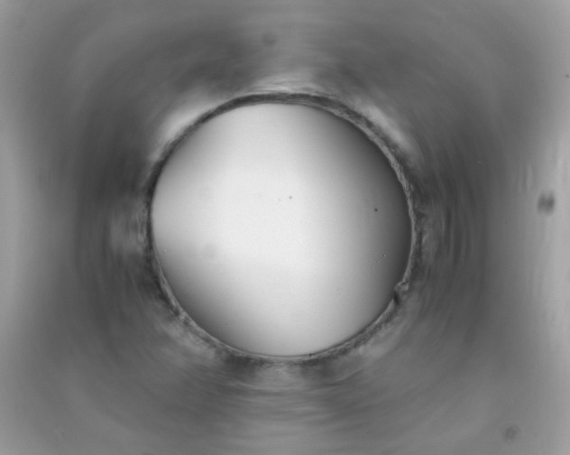 X0000091301358200708172200