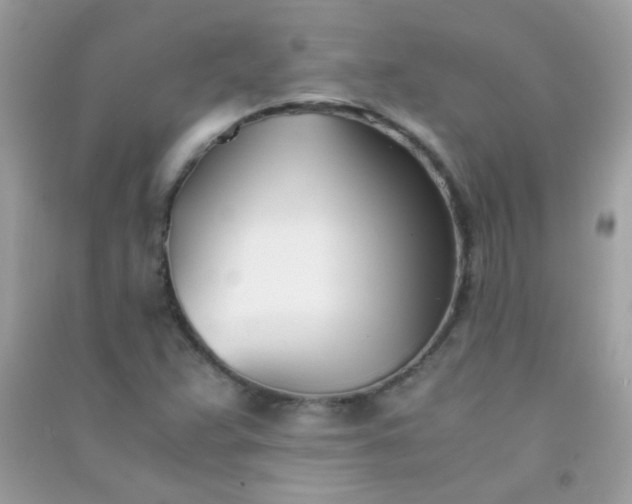 X0000091301359200708172200