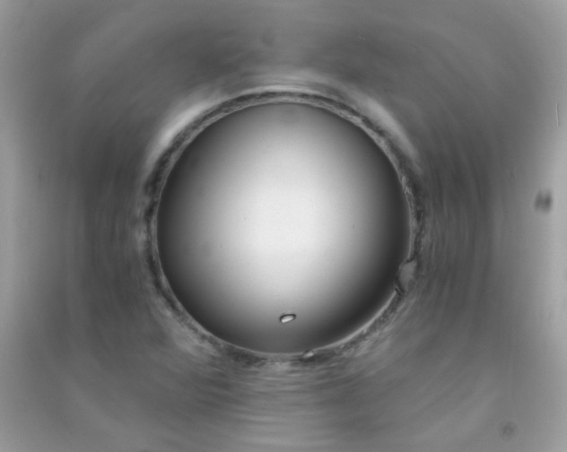 X0000091301360200708172200