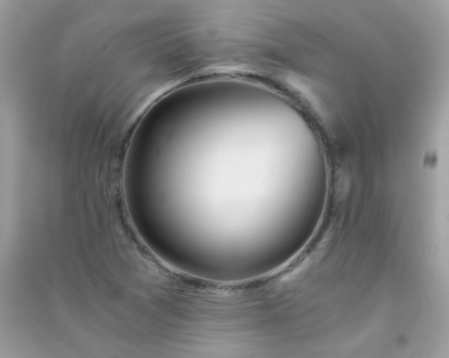 X0000091301361200708172200