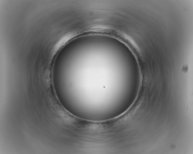 X0000091301362200708172200