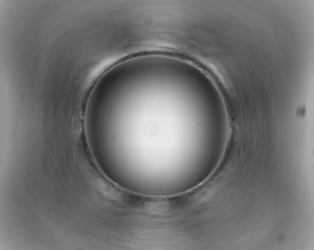 X0000091301363200708172200