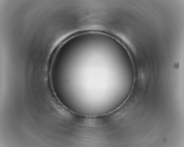 X0000091301364200708172200