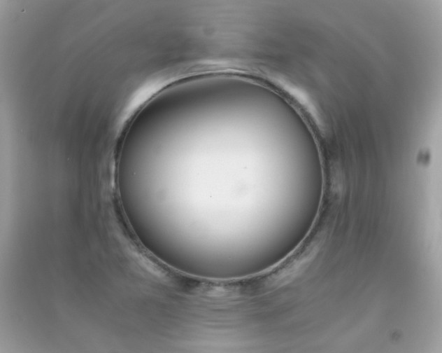 X0000091301365200708172200