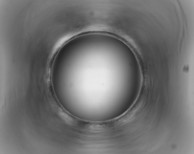 X0000091301366200708172200