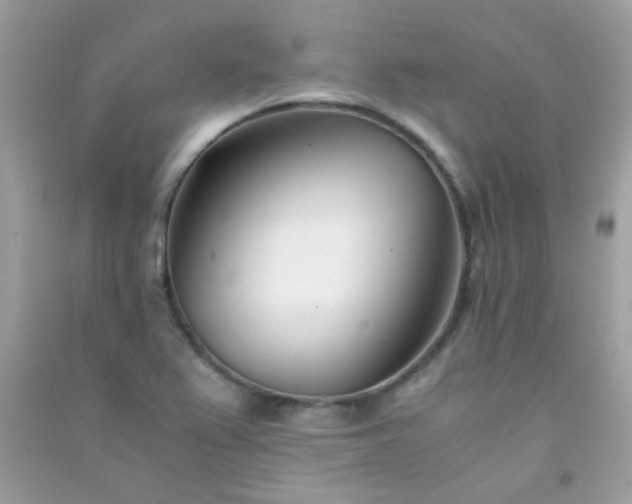 X0000091301367200708172200