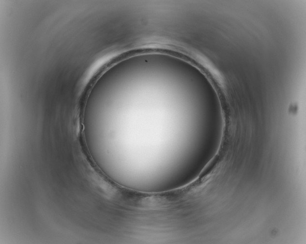 X0000091301368200708172200