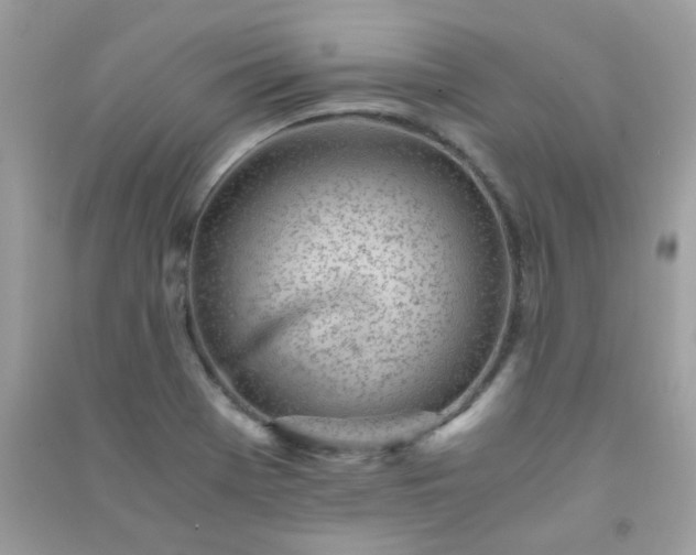 X0000091301369200708172200