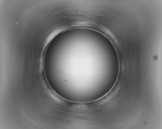 X0000091301370200708172200