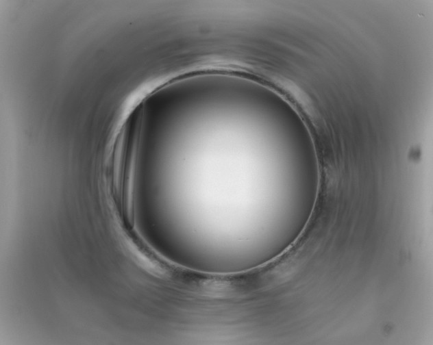 X0000091301371200708172200