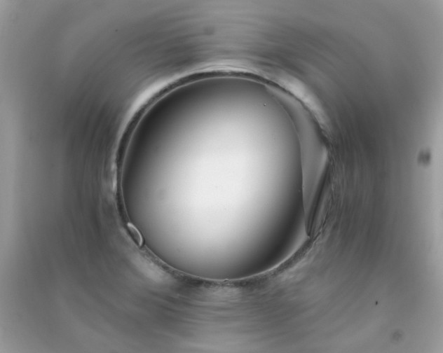 X0000091301372200708172200