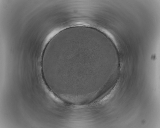 X0000091301373200708172200