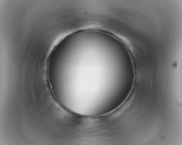 X0000091301374200708172200