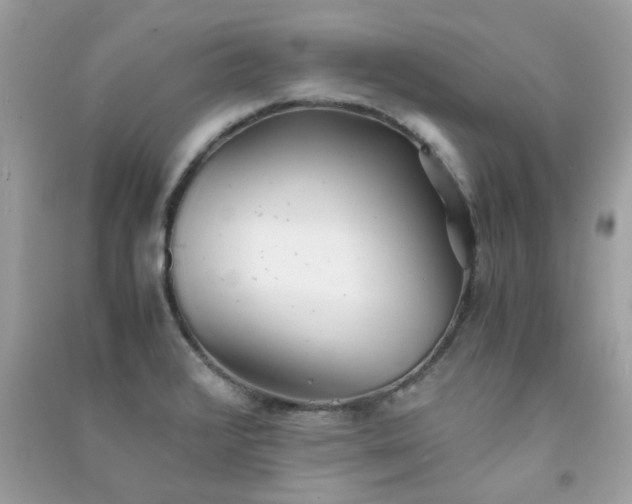 X0000091301376200708172200