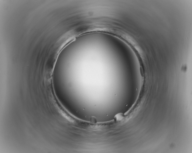 X0000091301377200708172200