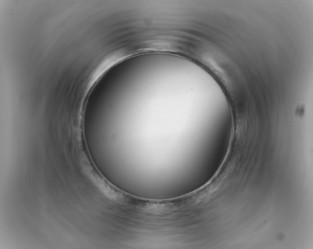 X0000091301378200708172200