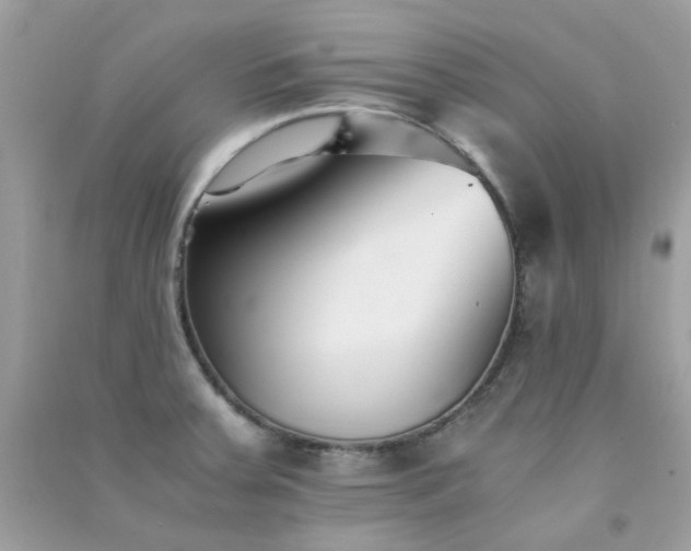 X0000091301379200708172200