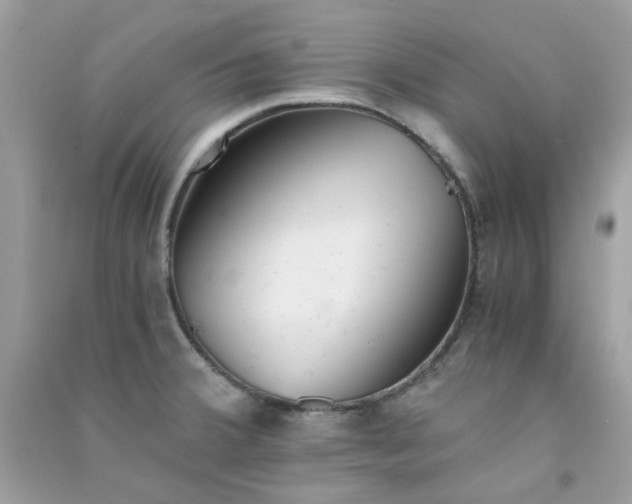 X0000091301380200708172200