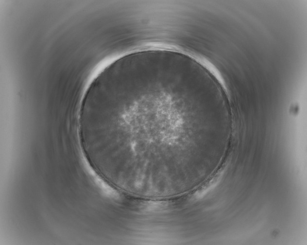 X0000091301381200708172200