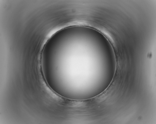 X0000091301382200708172200