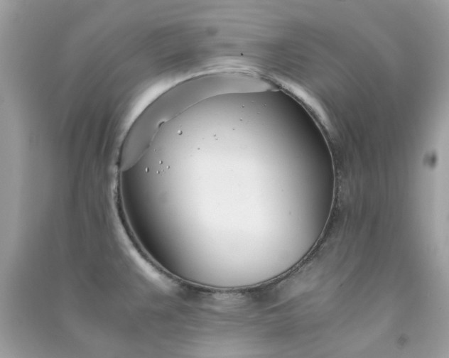 X0000091301383200708172200