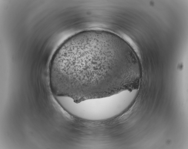 X0000091301384200708172200