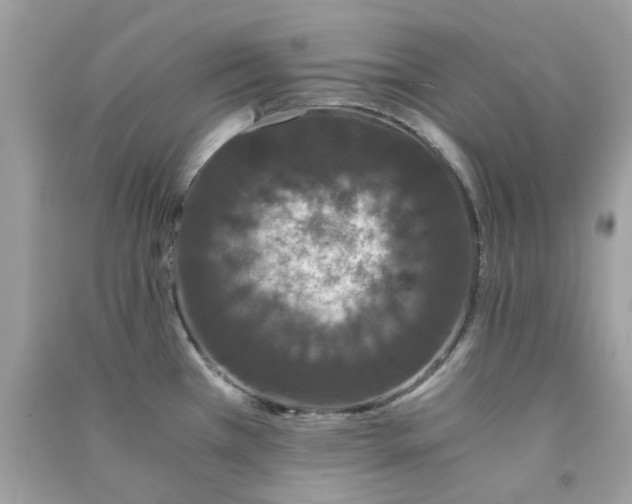 X0000091301385200708172200