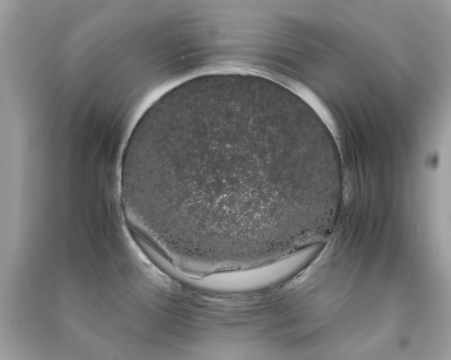 X0000091301388200708172200